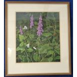 Painting, Marion Bradley, original signed watercolour entitled Bindweed and Foxgloves (approx.