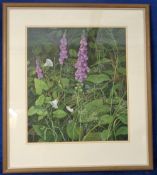 Painting, Marion Bradley, original signed watercolour entitled Bindweed and Foxgloves (approx.