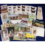 Postcards, Advertising, a collection of approx. 74 cards, with 4 Reward Cards, chromos inc.