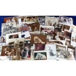 Postcards, Cats and Dogs, approx. 140 RPs, printed and artist drawn to include Mac, Valter, Morgan