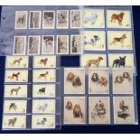 Cigarette cards, Dogs, 4 sets, Gallaher, Dogs, 2 sets, standard size & 'L' size, both with