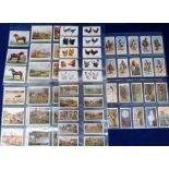 Cigarette cards, 8 sets, Carreras Horses & Hounds (standard & 'L' size sets), Bucktrout Marvels of