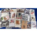 Postcards, Dogs, Bulldogs, 55+ cards RPs, printed and artist drawn featuring John Bull (dog),