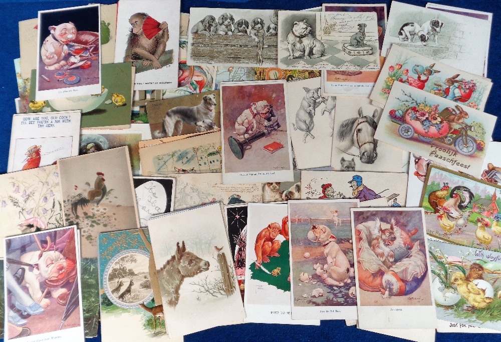 Postcards, Animals, 100+ cards including anthropomorphic, pigs, dogs, insects etc. (gen gd)