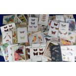 Postcards, Insects and Birds, 100+ cards, RPs, printed and artist drawn, comic, cute, botanical,