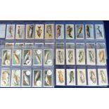 Cigarette cards, 4 sets, Player's, Fishes of the World, (gd), Fresh-Water Fishes (Pink Back, vg),