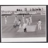 Cricket autograph, Malcolm Marshall, signed 10" x