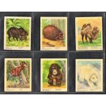 Cigarette & trade cards, H Stevens & Co, Zoo Animals, set, 25 cards, Sword & Co, Zoo Series (brown),