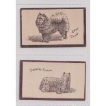 Cigarette cards, Goodbody's, Dogs (Multi backed), two cards, both 'Goodbody's Silk Cut Cigarettes'