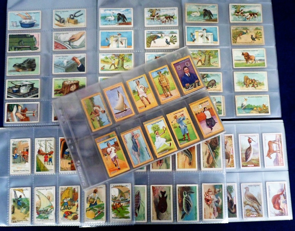 Cigarette cards, Gallaher, a collection of 7 sets, British Champions of 1923, Animals & Birds of