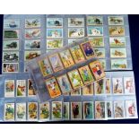 Cigarette cards, Gallaher, a collection of 7 sets, British Champions of 1923, Animals & Birds of