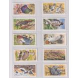 Trade cards, Brooke Bond (Rhodesia), African Birds (set, 50 cards) (ex)