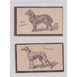 Cigarette cards, Goodbody's, Dogs (Multi backed), two cards, both 'Goodbody's Furze Blossom Navy