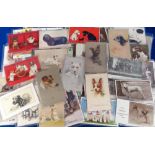 Postcards, Dogs, Terriers, approx. 90 cards featuring many breeds of terriers to include RPs,