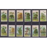 Trade cards, Cadbury's, British Trees Series (set, 12 cards) (gd)