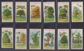 Trade cards, Cadbury's, British Trees Series (set, 12 cards) (gd)