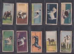 Trade cards, Toby (Anon), Dogs (1-24) & 2nd Series (25-48) (two sets, 24 cards in each) (gd)