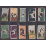 Trade cards, Toby (Anon), Dogs (1-24) & 2nd Series (25-48) (two sets, 24 cards in each) (gd)