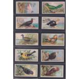 Cigarette cards, Ogden's, Birds, a collection of 7 sets, Foreign Birds (50 cards), Birds Eggs (50