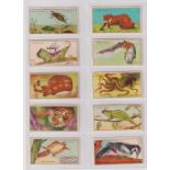 Trade cards, Chivers, Wild Wisdom (set, 24 cards) (2 with toned backs, gd)