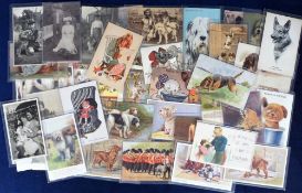 Postcards, Dogs, approx. 75 cards comprising RPs, printed, artist drawn and comic featuring Susie