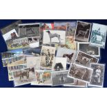 Postcards, Greyhounds, 28 cards RPs, printed and artist drawn to include named dogs (Mick the