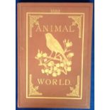 Ephemera, RSPCA Journal - Animal World, 1882 bound volume of 12 monthly issues of this printed