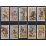 Cigarette cards, (Australia), Sniders & Abrahams, Animals (Green Descriptive Back) (25/60) & Animals