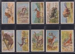 Cigarette cards, (Australia), Sniders & Abrahams, Animals (Green Descriptive Back) (25/60) & Animals
