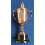 Collectables Scouting, an EPNS trophy by A.L. Davenport of Birmingham, mounted on original base