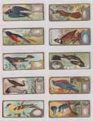 Trade cards USA, Sen-Sen Chiclets, Bird Studies, 49 different cards (gen gd)