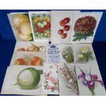 Ephemera, Gardening, a collection of fruit, vegetable and flower colour plates from garden