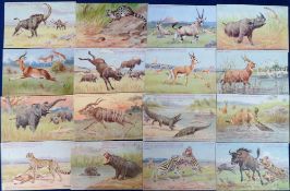 Postcards, a collection of approx. 30 coloured cards of South African wildlife from various '