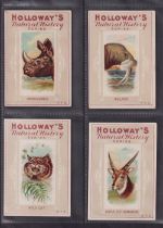 Trade cards, Holloway's, Natural History Series (Animal Heads)), 'X' size (set, 39 cards) (gd)