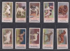 Cigarette cards, Dogs, Edwards, Ringer & Bigg, Dogs Series (Klondyke Back) (set, 23 cards) (gen gd/