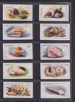 Trade cards, Cerebos Salt, Sea Shells (set, 100 cards) (mostly gd/vg)