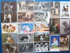 Postcards, Dogs, approx. 125 cards RPs, artist drawn, comic, dog carts etc. many different breeds