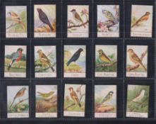 Trade cards, Spratt's, British Bird Series (Unnumbered), 'K' size (set, 50 cards) (gd/vg)