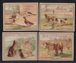 Trade cards, Huntley & Palmers, Animals, 'P' size (set, 12 cards) (gd)