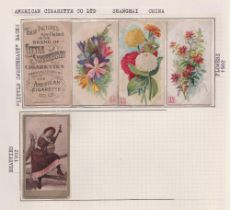 Cigarette cards, China, a folder containing a collection of 300+ Chinese type cards, many