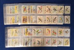 Trade cards, Tuckfield's, Australiana, Bird Series, 'M' size (set, 384 cards) (vg)