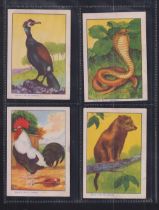 Trade cards, Spain, Chocolate Juncosa, Zoological Collection, 'X' size, 36 cards in three groups