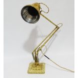 Herbert Terry anglepoise lamp - gilt rag rolled finish and square stepped base.
