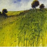 DAVID RYLANCE (b.1941) Wild Flower Meadow Watercolour Signed lower left Framed and glazed Picture