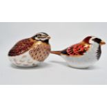 A Royal Crown Derby Imari paperweight - modelled as a house sparrow, width 12cm, boxed together with
