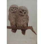 20th Century British School Two Owls Seated On A Branch Lithograph Indistinctly signed lower right