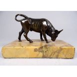 After the antique 19th century bronze bull - head lowered and raised on a yellow Sienna marble base,