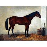 BRAIN Late 20th century British School Bay Horse In A Loose Box Oil on board Signed lower left