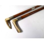 A horn handled walking stick - with white metal mount, together with a similar riding crop.