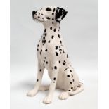 A Beswick figure of a Dalmatian, in a seated pose, height 35cm.